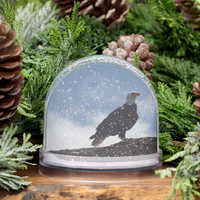 Bald Eagle Snow Globe (Winter)