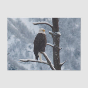Bald Eagle Snow Tree Photo Tissue Paper