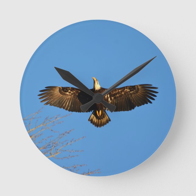 Bald Eagle Soaring1 Round Clock (Front)