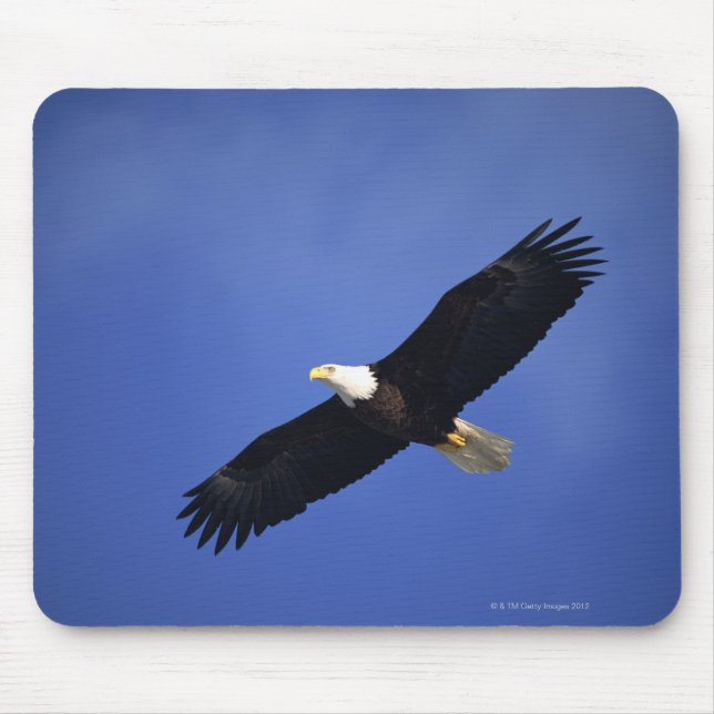 Bald eagle soaring , Alaska Mouse Mat (Front)