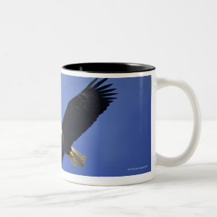 Bald eagle soaring , Alaska Two-Tone Coffee Mug
