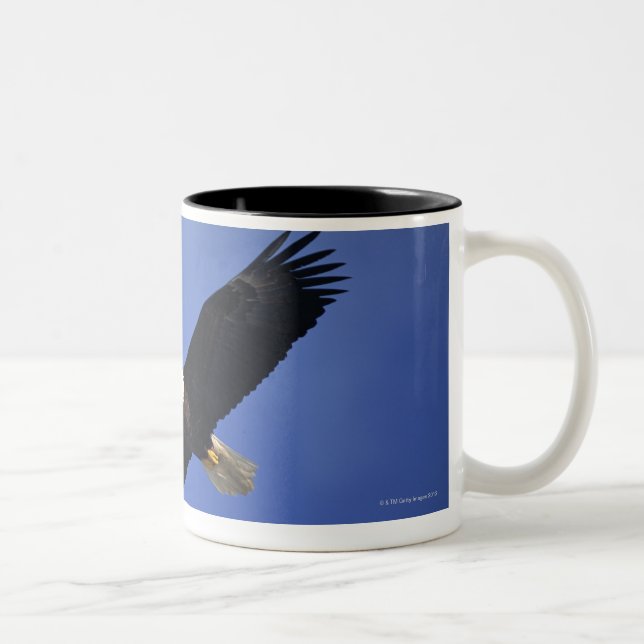Bald eagle soaring , Alaska Two-Tone Coffee Mug (Right)