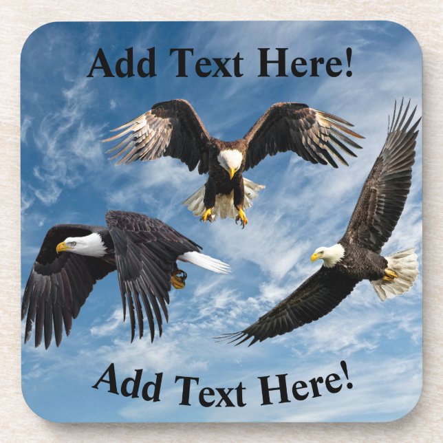 Bald Eagle Soaring Coaster (Front)