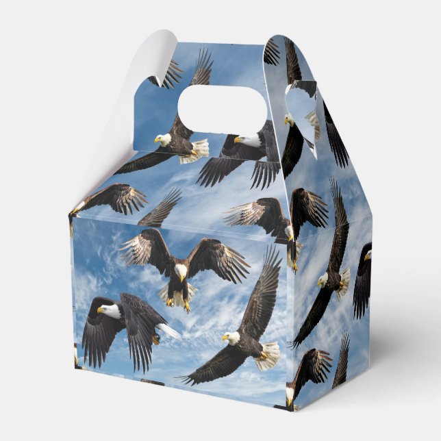 Bald Eagle Soaring Favour Box (Front Side)