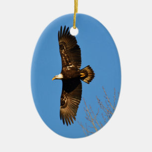 Bald Eagle Soaring Over Trees Ceramic Tree Decoration