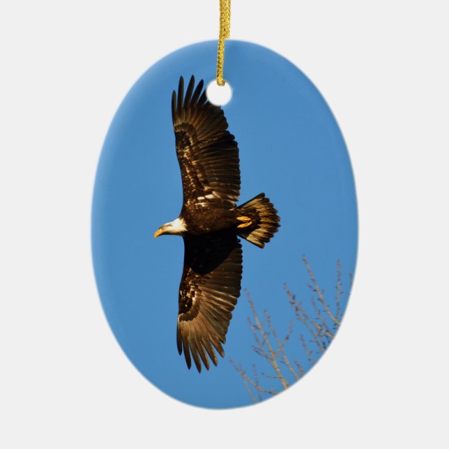 Bald Eagle Soaring Over Trees Ceramic Tree Decoration (Front)