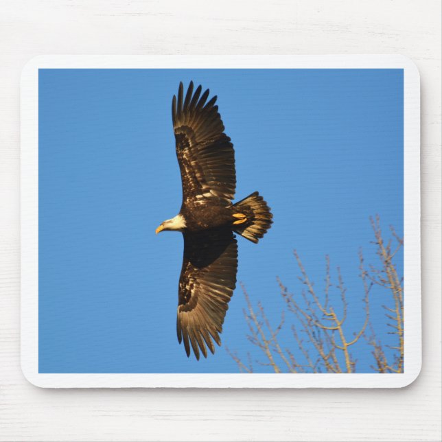 Bald Eagle Soaring Over Trees Mouse Mat (Front)