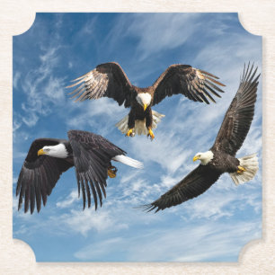 Bald Eagle Soaring Paper Coaster