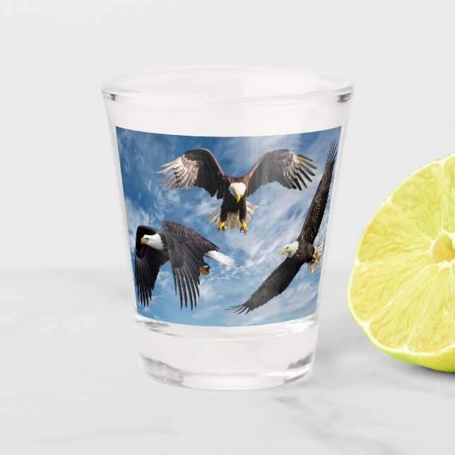 Bald Eagle Soaring Shot Glass (Front)