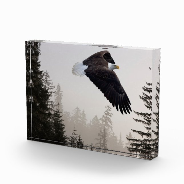Bald Eagle Soaring Through Mist Photo Block (Right)