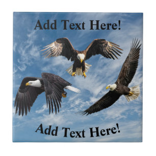 Bald Eagle Soaring Tile