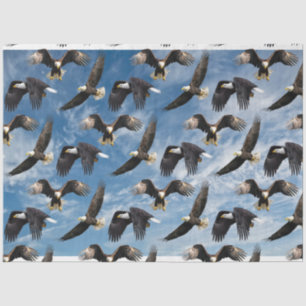 Bald Eagle Soaring Tissue Paper