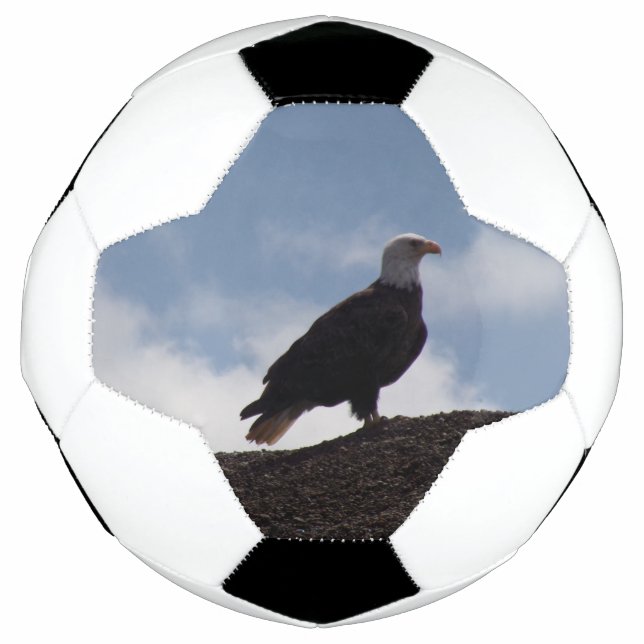 Bald Eagle Soccer Ball (Front)