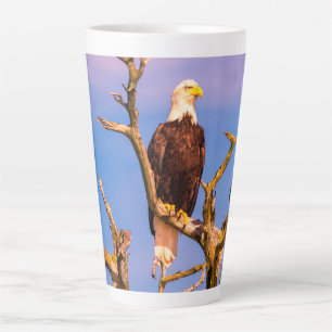 Bald Eagle, Southern Gulf Islands, BC Latte Mug