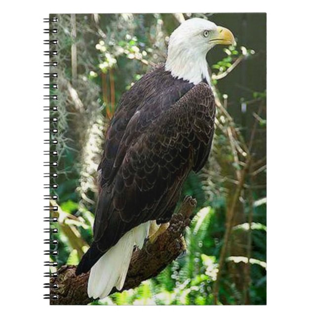 Bald Eagle Spiral Photo Notebook (Front)