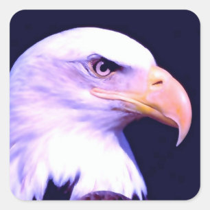 Bald Eagle Square Sticker