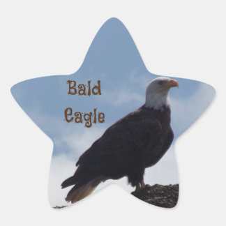Bald Eagle Star Stickers