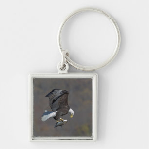 Bald Eagle staring at a fish Key Ring