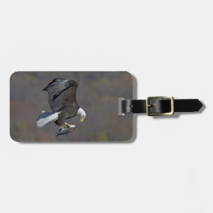 Bald Eagle staring at a fish Luggage Tag