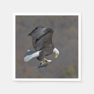 Bald Eagle staring at a fish Napkin