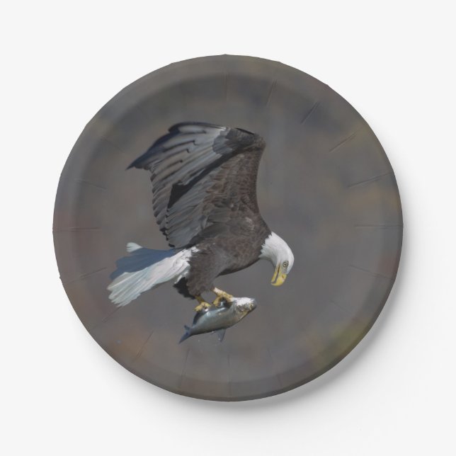 Bald Eagle staring at a fish Paper Plate (Front)