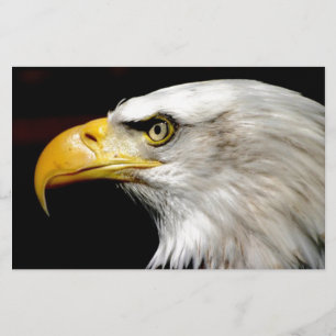 Bald Eagle Stationery