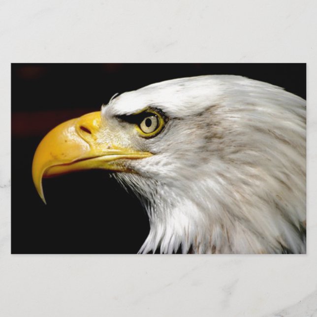 Bald Eagle Stationery (Front)