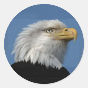 BALD EAGLE-STICKER CLASSIC ROUND STICKER