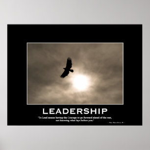 Bald Eagle & Sun LEADERSHIP Motivational Poster