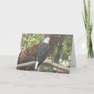 “Bald Eagle” Sympathy Card