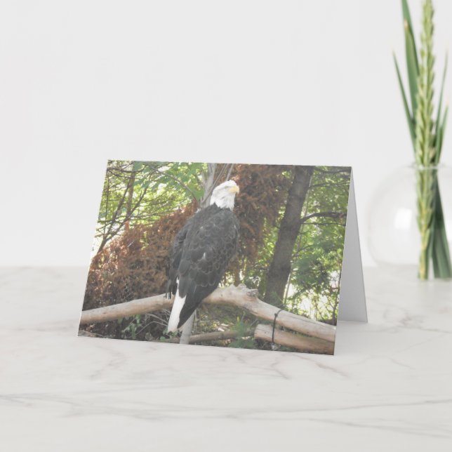 “Bald Eagle” Sympathy Card (Front)