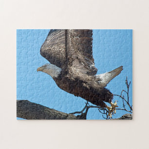 Bald Eagle taking off Jigsaw Puzzle