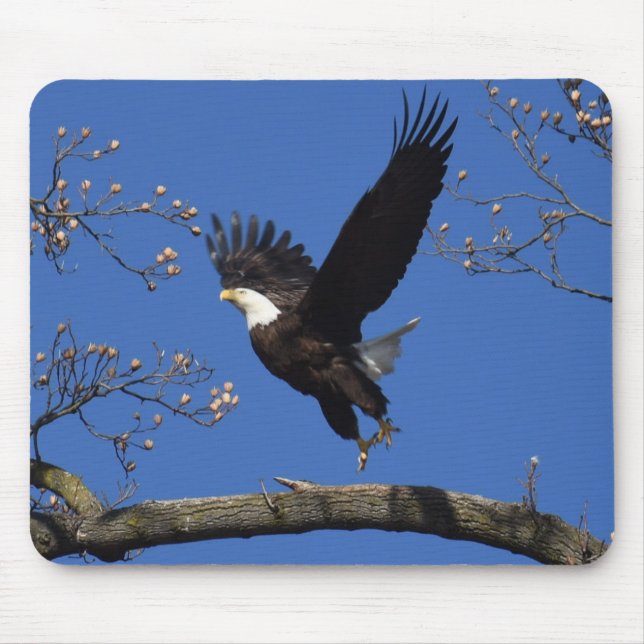 Bald Eagle Taking Off Mouse Mat (Front)