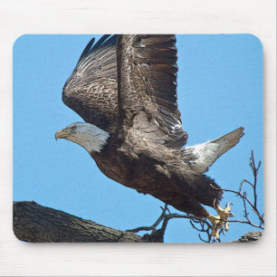 Bald Eagle taking off Mouse Mat