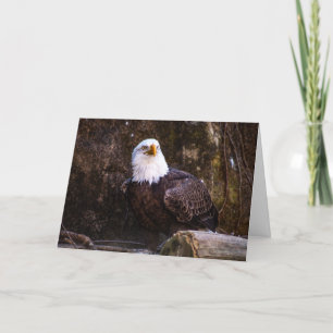 Bald Eagle Thank You Card