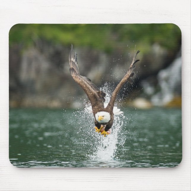 Bald Eagle The Big Catch Mouse Mat (Front)
