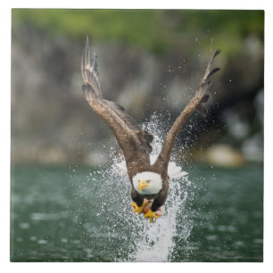 Bald Eagle The Big Catch Tile