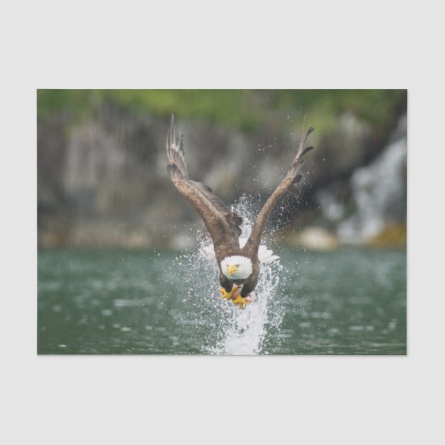 Bald Eagle The Big Catch Tissue Paper (Front)