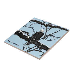 Bald Eagle Tile