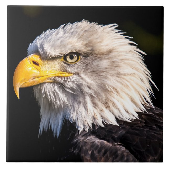 Bald Eagle Tile (Front)