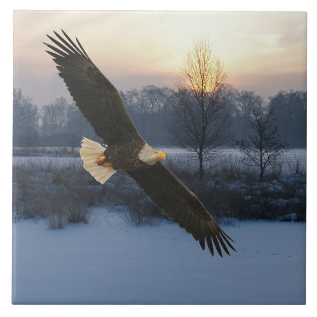 BALD EAGLE TILE (Front)
