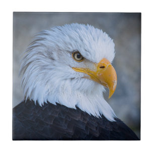 BALD EAGLE TILE