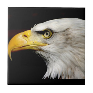 Bald Eagle Tile