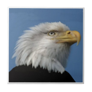 BALD EAGLE-TILE TILE