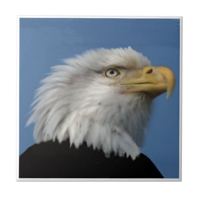 BALD EAGLE-TILE TILE (Front)