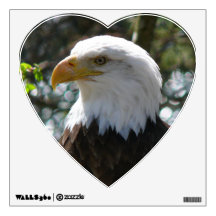 Bald Eagle - United States National Bird