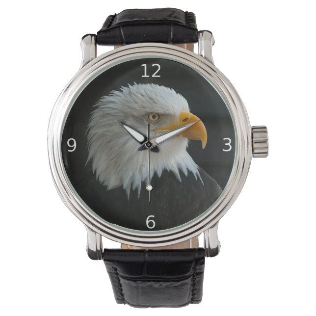 BALD EAGLE WATCH (Front)