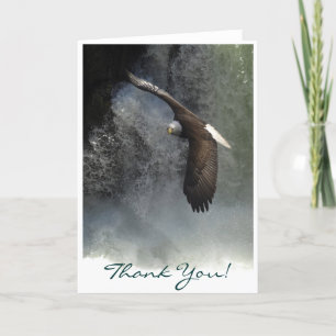 BALD EAGLE & WATER FALL Thank You Card