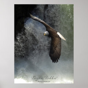Bald Eagle & Waterfall Poster
