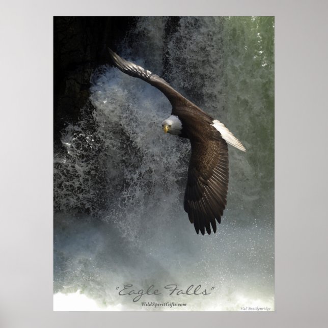 Bald Eagle & Waterfall Poster (Front)
